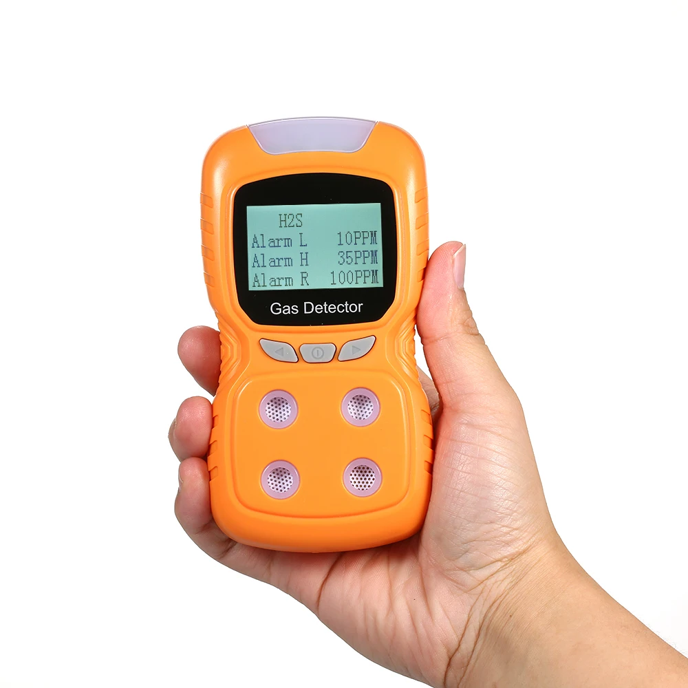 Portable Gas Detector